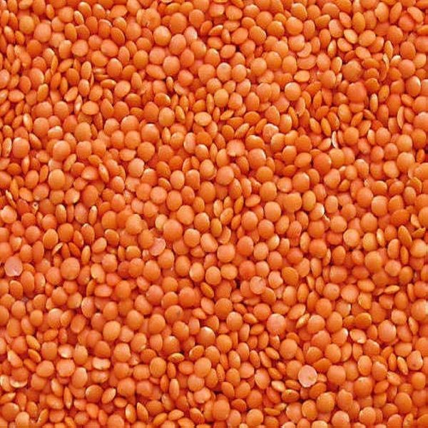 Red Lentils