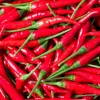 Fresh Red Chili