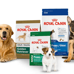 ROYAL CANIN