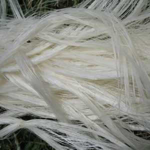 sisal fibre