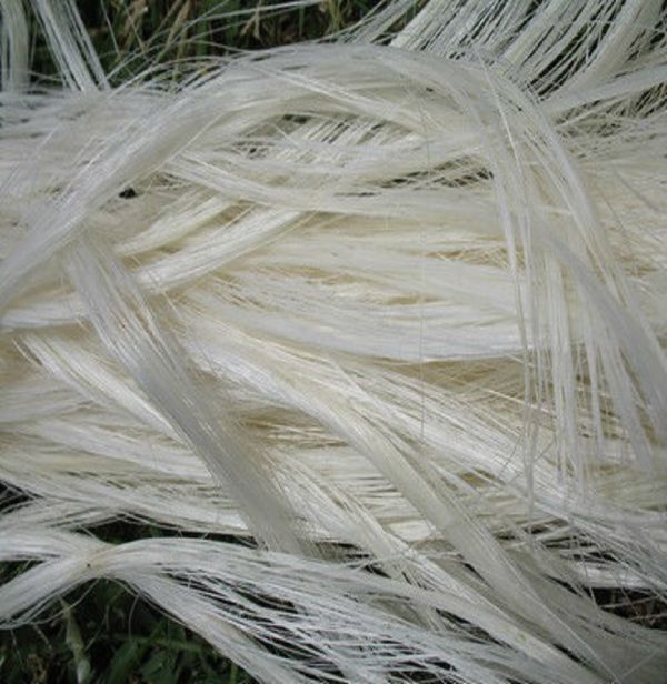 sisal fibre