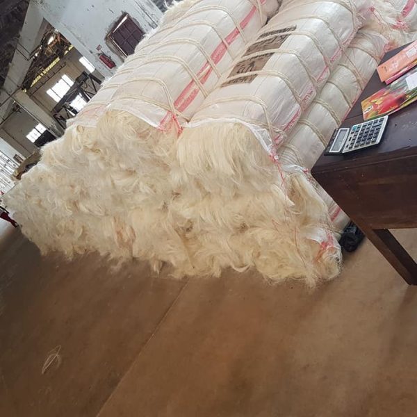 Sisal Fibre